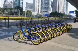 【8分钟教程】汕头市工厂咨询电话号码_哔哩哔哩-3